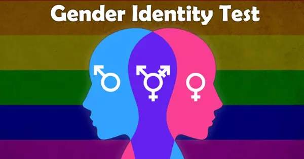 What Is Your True Gender Mix? Just Answer 6 Questions To Find Out